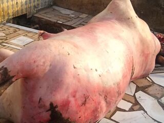 Home screenshot 20260123 132026 com.google.android.apps .photos